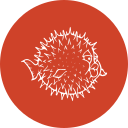 Open bsd,Openbsd